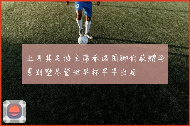 土耳其足协主席承诺国脚们获赠海景别墅尽管世界杯早早出局